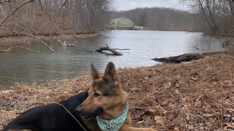 Parking - Manchester, MD