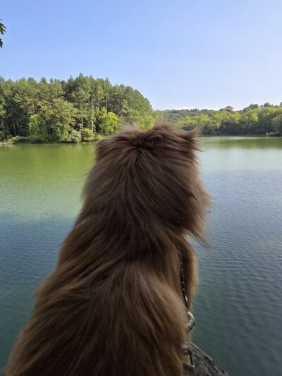 Parking - Manchester, MD