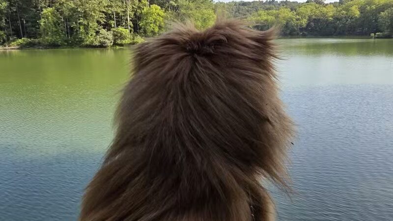 Parking - Manchester, MD