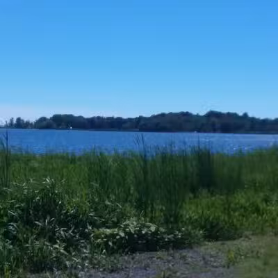 Brennans Bay - Mannsville, NY