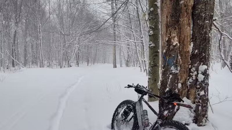 Winona Forest CCC Camp - Mannsville, NY