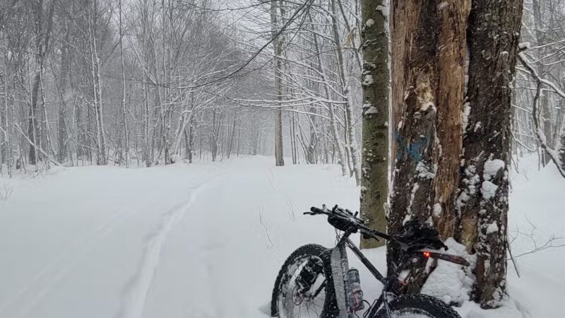 Winona Forest CCC Camp - Mannsville, NY
