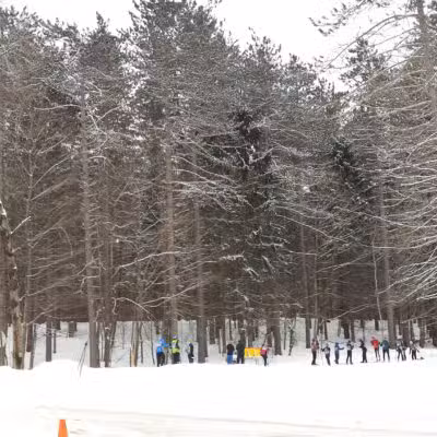 Winona Forest CCC Camp - Mannsville, NY