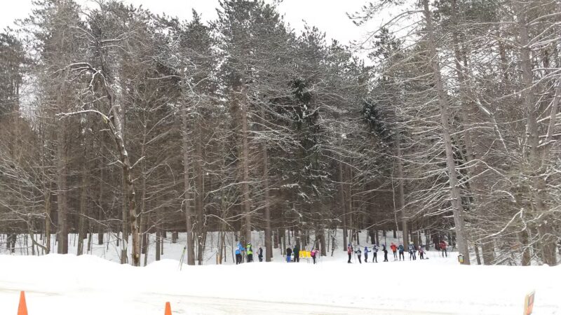 Winona Forest CCC Camp - Mannsville, NY