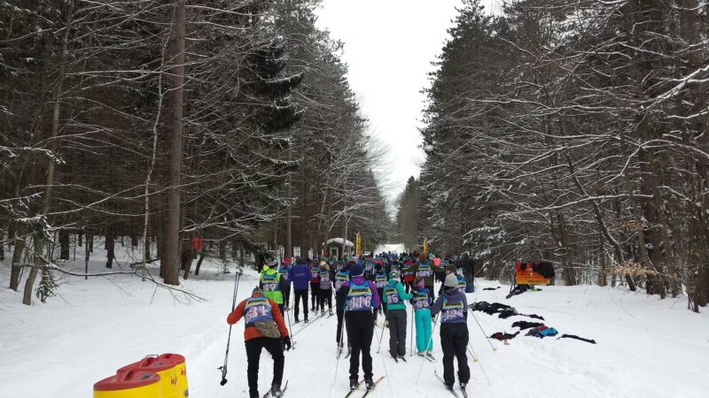 Winona Forest CCC Camp - Mannsville, NY