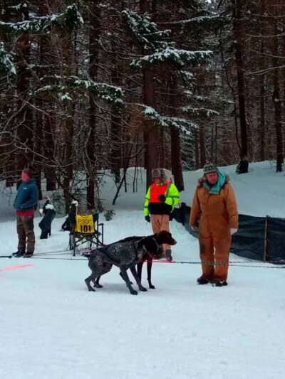 Winona Forest CCC Camp - Mannsville, NY