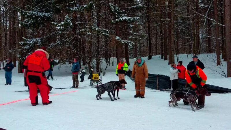 Winona Forest CCC Camp - Mannsville, NY