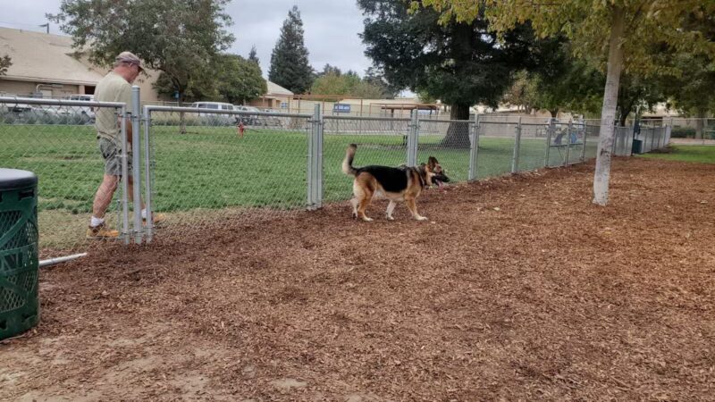 Manteca Dog Park - Manteca, CA