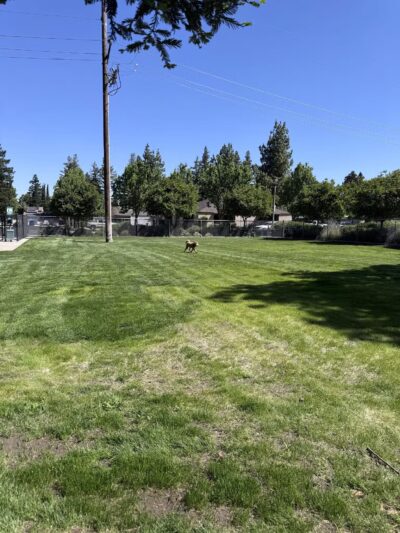 Manteca Dog Park - Manteca, CA