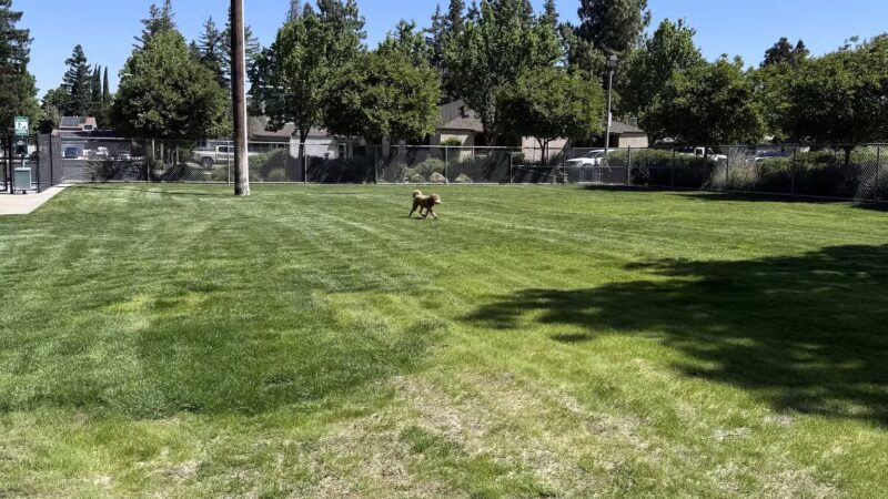 Manteca Dog Park - Manteca, CA