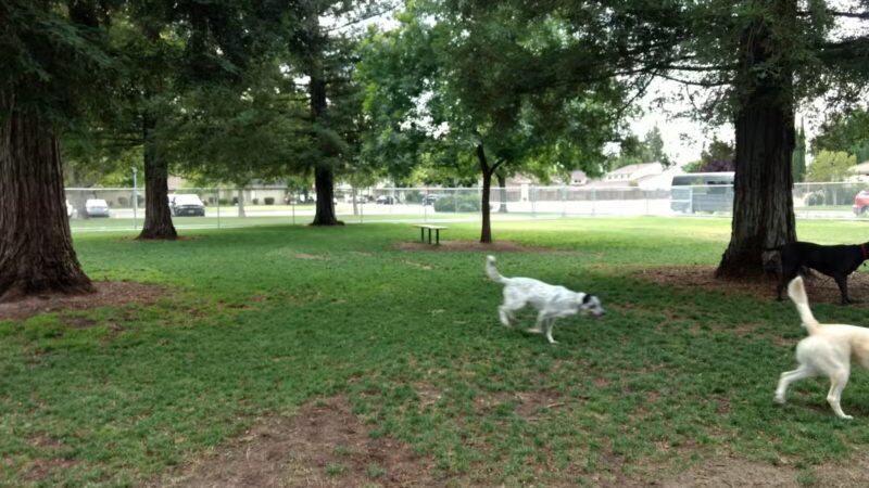 Manteca Dog Park - Manteca, CA