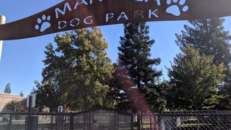 Manteca Dog Park - Manteca, CA