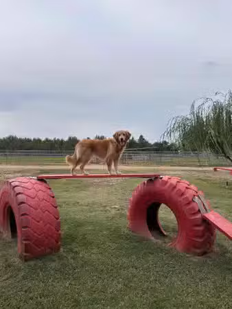 PAW Forward Dog Park - Private by Booking - Manteca, CA