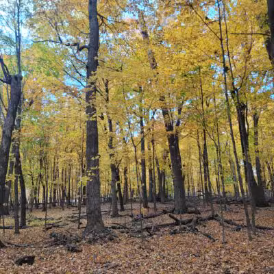 Baker Park Trailhead - Maple Plain, MN