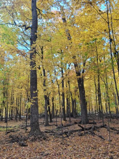 Baker Park Trailhead - Maple Plain, MN