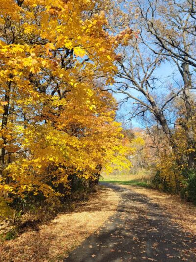 Baker Park Trailhead - Maple Plain, MN