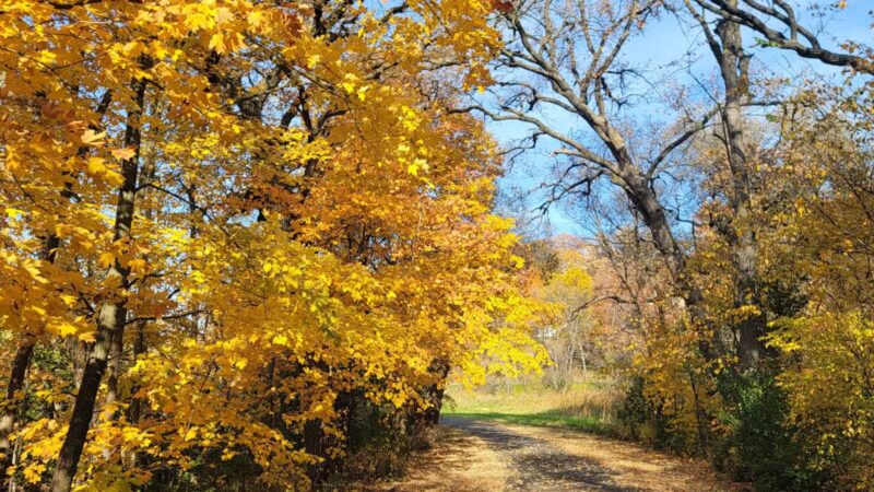 Baker Park Trailhead - Maple Plain, MN