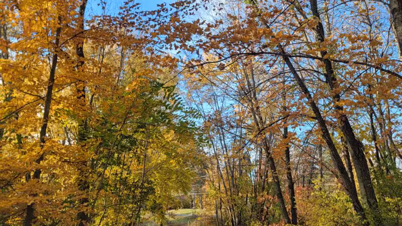Baker Park Trailhead - Maple Plain, MN