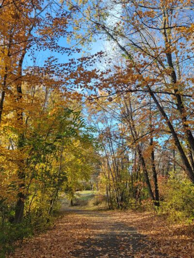 Baker Park Trailhead - Maple Plain, MN
