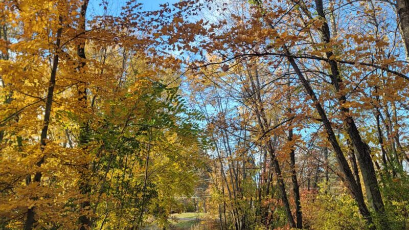 Baker Park Trailhead - Maple Plain, MN
