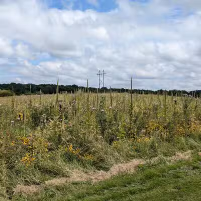 Baker Park Trailhead - Maple Plain, MN