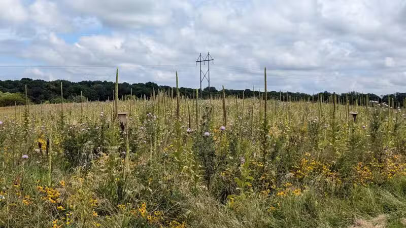 Baker Park Trailhead - Maple Plain, MN