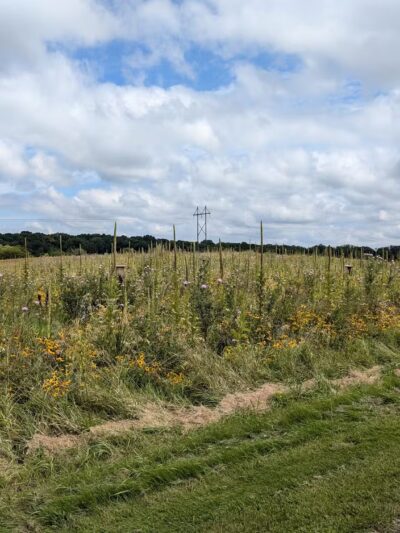 Baker Park Trailhead - Maple Plain, MN