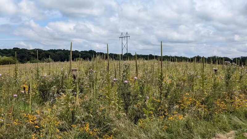 Baker Park Trailhead - Maple Plain, MN
