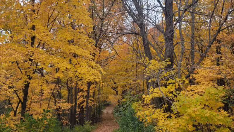 Baker Park Trailhead - Maple Plain, MN