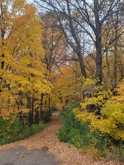 Baker Park Trailhead - Maple Plain, MN