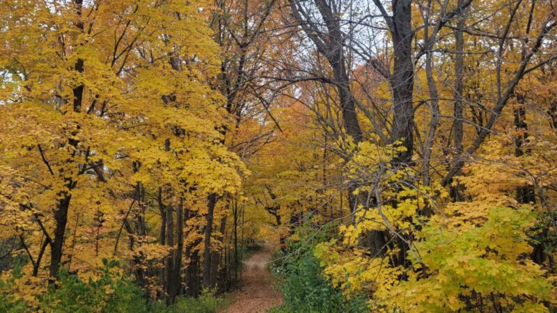 Baker Park Trailhead - Maple Plain, MN