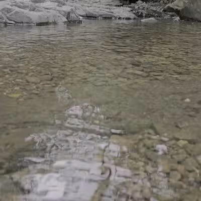 Ball's Bluff - Maplewood, NJ