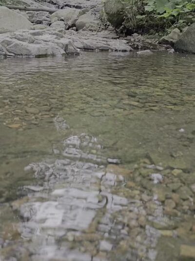 Ball's Bluff - Maplewood, NJ