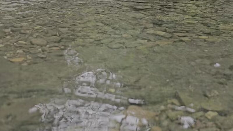 Ball's Bluff - Maplewood, NJ