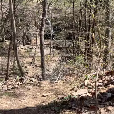 Bramhall Terrace - Maplewood, NJ