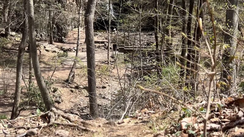 Bramhall Terrace - Maplewood, NJ