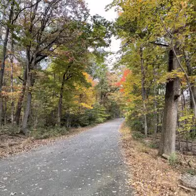 Bramhall Terrace - Maplewood, NJ