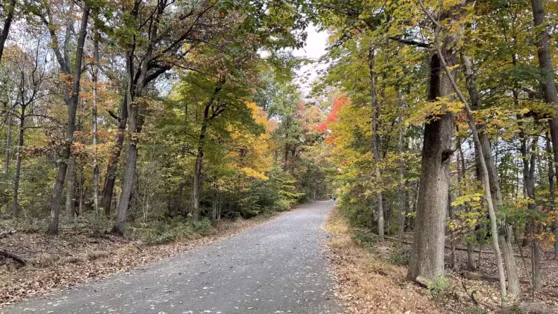 Bramhall Terrace - Maplewood, NJ