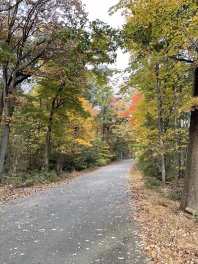 Bramhall Terrace - Maplewood, NJ