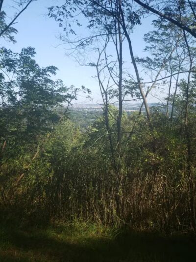 Bramhall Terrace - Maplewood, NJ