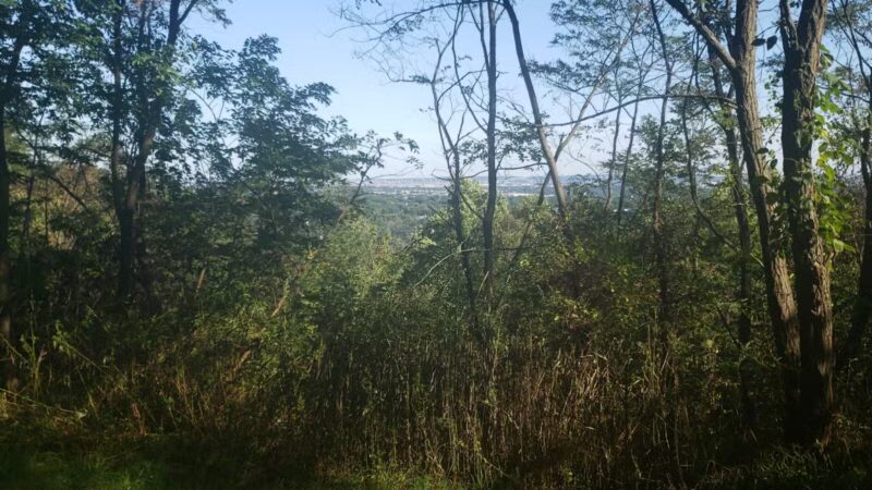 Bramhall Terrace - Maplewood, NJ