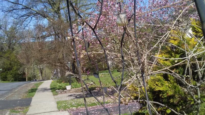 Township of Maplewood Department of Recreation & Cultural Affairs - Maplewood, NJ