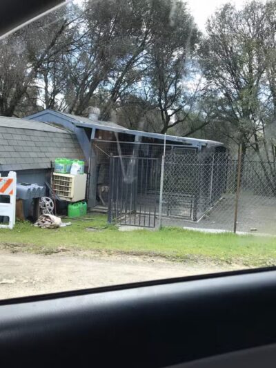 Animal Care Center - Mariposa, CA