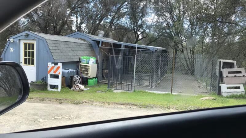 Animal Care Center - Mariposa, CA