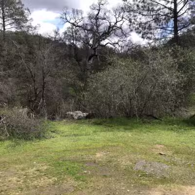 Animal Care Center - Mariposa, CA