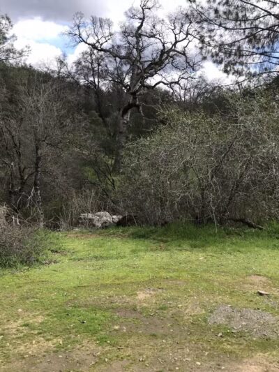 Animal Care Center - Mariposa, CA