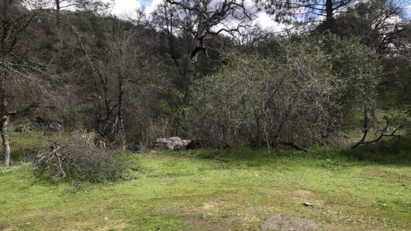 Animal Care Center - Mariposa, CA