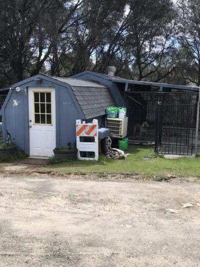 Animal Care Center - Mariposa, CA