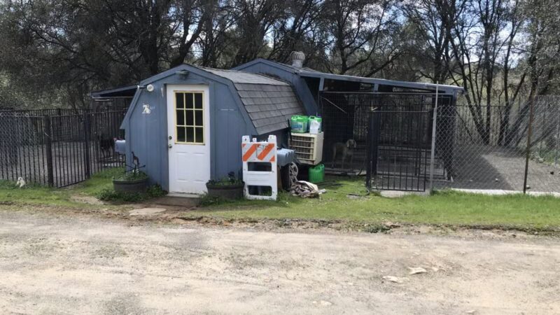 Animal Care Center - Mariposa, CA