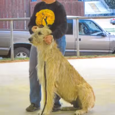 Animal Care Center - Mariposa, CA
